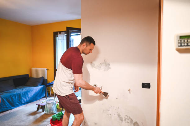 Best Fast Mold Removal  in Laureldale, PA