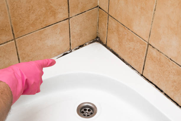 Best Mold Testing  in Laureldale, PA